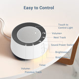 Personalized auditory experience