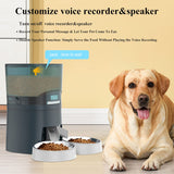 Timed pet feeding