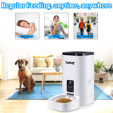 Remote pet meal scheduler