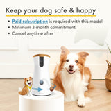 Smart camera for dogs