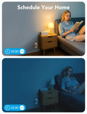 Plugs work with Alexa and Google Assistant