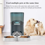 Programmable pet feeding