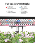 Smart WiFi 12 Pods Hydroponic Growing System with 6.5L Water Tank, App-Controlled, Black - Optimal Shelf Life, greenhouse, vegetables, sale, reviews, tomatoes, best 2022, top 2023, complete kits, indoors, diy, garden, app controlled, plant